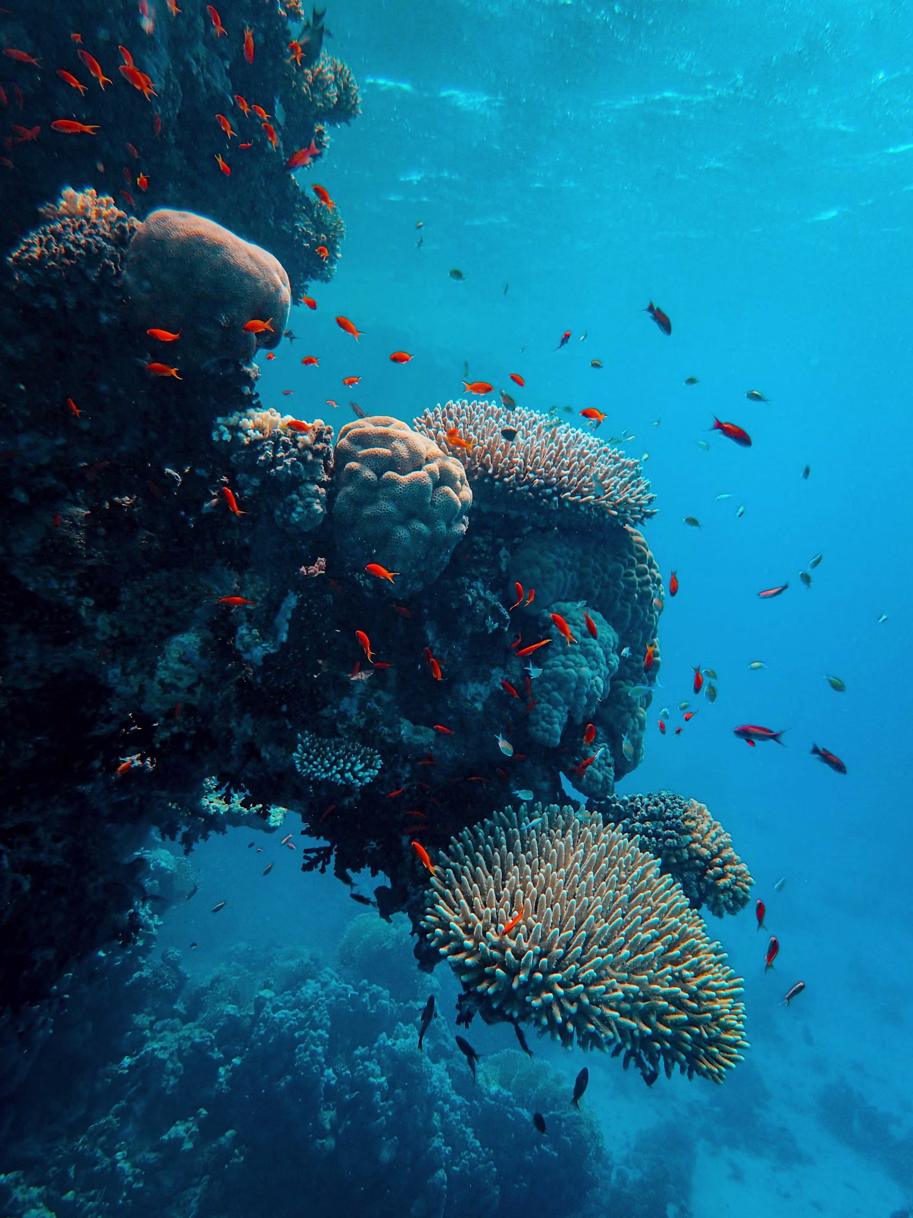 Underwater hero background